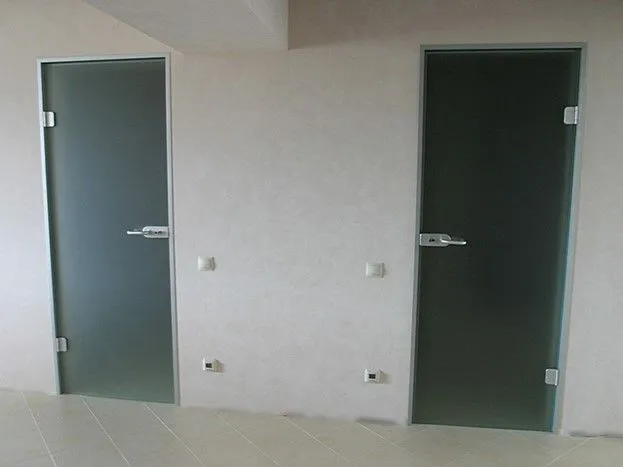 Стеклянные двери в алюминиевой коробке